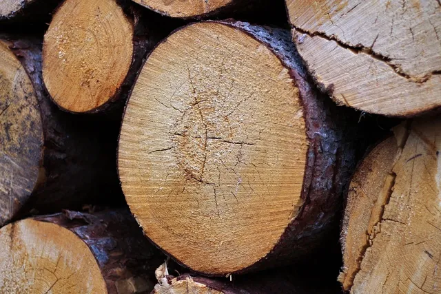 Log